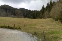 pasna-skupnost-bicevje1