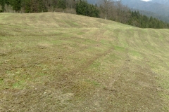 pasna-skupnost-bicevje3