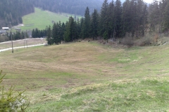 pasna-skupnost-bicevje4